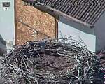 Capi_Dubne_20260926_145002.jpg
