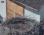 Capi_Dubne_20260926_150503.jpg