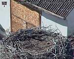 Capi_Dubne_20260926_152003.jpg