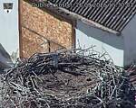 Capi_Dubne_20260926_153003.jpg