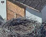 Capi_Dubne_20260926_154503.jpg