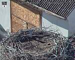 Capi_Dubne_20260926_155003.jpg