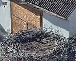 Capi_Dubne_20260926_155503.jpg