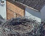 Capi_Dubne_20260926_160003.jpg