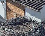 Capi_Dubne_20260926_161002.jpg