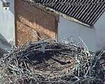 Capi_Dubne_20260926_163503.jpg
