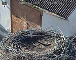 Capi_Dubne_20260926_164003.jpg