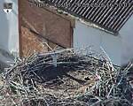 Capi_Dubne_20260926_165003.jpg
