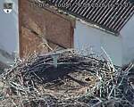 Capi_Dubne_20260926_165503.jpg
