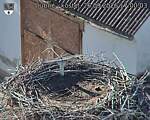 Capi_Dubne_20260926_170003.jpg