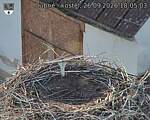 Capi_Dubne_20260926_180503.jpg