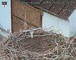 Capi_Dubne_20260926_183004.jpg