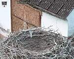 Capi_Dubne_20260926_190503.jpg