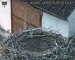 Capi_Dubne_20260926_191003.jpg