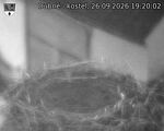 Capi_Dubne_20260926_192002.jpg