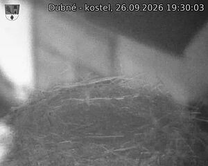 Capi_Dubne_20260926_193003.jpg (1350&nbsp;x&nbsp;1080)