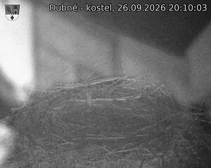 Capi_Dubne_20260926_201003.jpg (1350&nbsp;x&nbsp;1080)