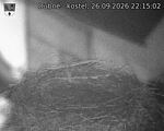 Capi_Dubne_20260926_221502.jpg