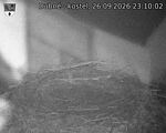 Capi_Dubne_20260926_231002.jpg