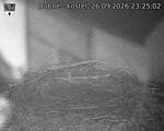 Capi_Dubne_20260926_232503.jpg