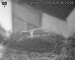 Capi_Dubne_20260927_062502.jpg
