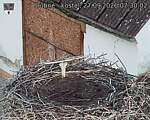 Capi_Dubne_20260927_073002.jpg