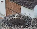 Capi_Dubne_20260927_080004.jpg