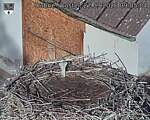 Capi_Dubne_20260927_090504.jpg