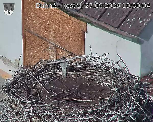 preload