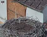 Capi_Dubne_20260927_114003.jpg