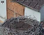 Capi_Dubne_20260927_122503.jpg