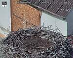 Capi_Dubne_20260927_123002.jpg
