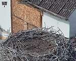 Capi_Dubne_20260927_140504.jpg