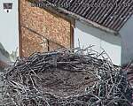 Capi_Dubne_20260927_151004.jpg