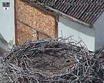 Capi_Dubne_20260927_152004.jpg