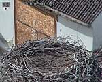 Capi_Dubne_20260927_152504.jpg