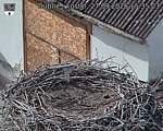 Capi_Dubne_20260927_153503.jpg