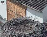 Capi_Dubne_20260927_155003.jpg