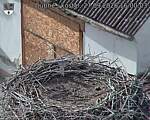 Capi_Dubne_20260927_160003.jpg