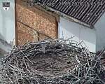 Capi_Dubne_20260927_160504.jpg