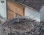 Capi_Dubne_20260927_161002.jpg