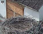 Capi_Dubne_20260927_161503.jpg