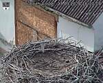 Capi_Dubne_20260927_162004.jpg