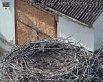 Capi_Dubne_20260927_162502.jpg