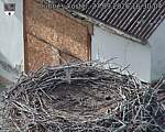 Capi_Dubne_20260927_163004.jpg