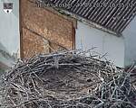 Capi_Dubne_20260927_163502.jpg