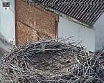 Capi_Dubne_20260927_164003.jpg