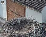 Capi_Dubne_20260927_165004.jpg