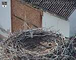 Capi_Dubne_20260927_170502.jpg