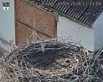 Capi_Dubne_20260927_172004.jpg